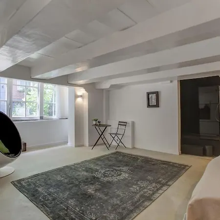 Luxurious Loft In The Centre - *